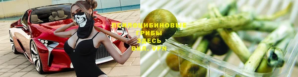 ECSTASY Медногорск