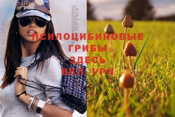 марки lsd Михайлов