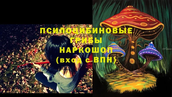 PSILOCYBIN Михайловка