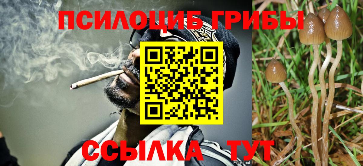 Галлюциногенные грибы Psilocybe Старый Оскол