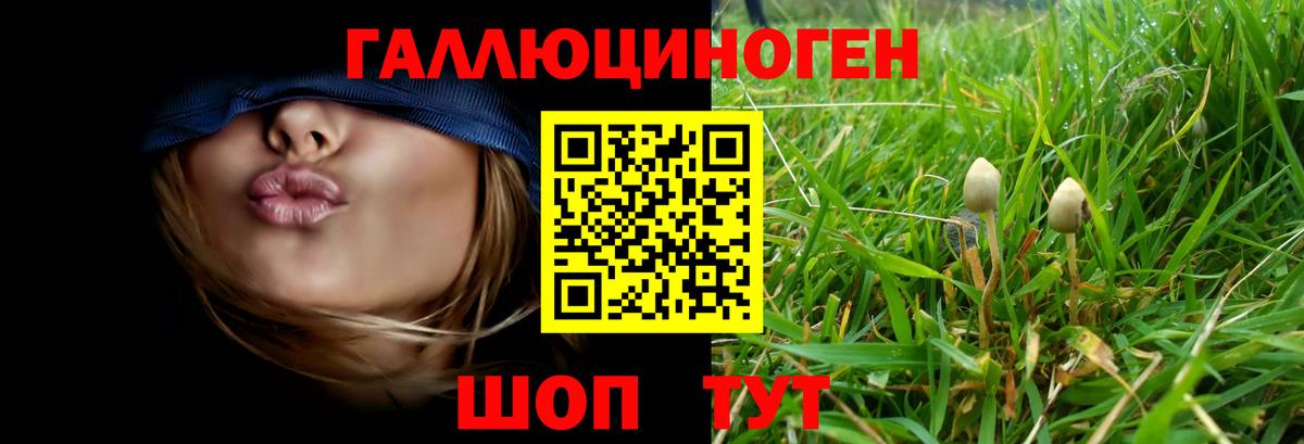 Галлюциногенные грибы Magic Shrooms  как найти наркотики  Старый Оскол 