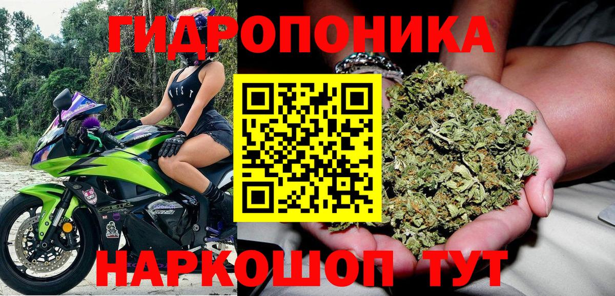 Шишки марихуана планчик Старый Оскол